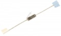 62V-5W 1N5372B DIODA ZENER 5W 31A