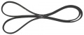 C00056443 482000022651 CUREA J4 1279 MM - 1280 MM