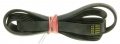 1161J5EL CUREA ELASTICA POLY-V