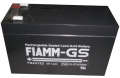 FG20722 12V-7,2AH ACUMULATOR CU PLUMB FIAMM VDS