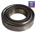 6005ZZ SKF-RULMENT CU PROTECTIE LA PRAF