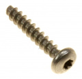 12000897 996530007953 SURUB TORX 10 3,5X20