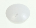 1882290100 C00876143 CAPAC PERETE LATERAL