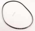 1194 J 5 MA CUREA POLI-V, ELASTIC