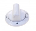 250315301 C00893653 BUTON TERMOSTAT