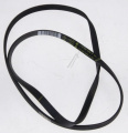 1180J4EL/MA CUREA ELASTICA POLY V