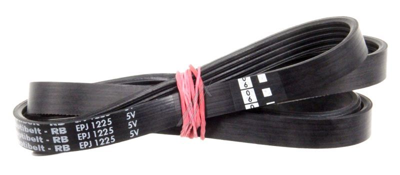 1225J5EL CUREA POLI V ELASTICA