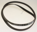1266J5EL CUREA ELASTICA