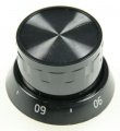 250316139 C00875142 BUTON TERMOSTAT