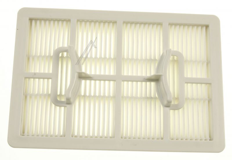 9178010698 C00909936 FILTRU HEPA EVACUARE