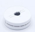 576786 BUTON RAMA DECORATIVA GP 6 200 PG 070/9007