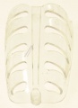B0172.4-2(A1) 890025950 CAPAC LAMPA